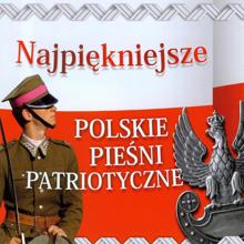 Various Artists: Najpiekniejsze polskie piesni patriotyczne