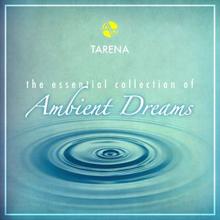 Tarena: The Essential Collection of Ambient Dreams
