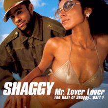 Shaggy: Mr Lover Lover - The Best Of Shaggy... (Part 1)