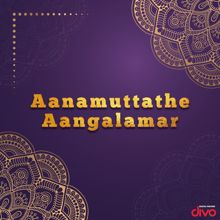 Raveendran: Aanamuttathe Aangalamar (Original Motion Picture Soundtrack)