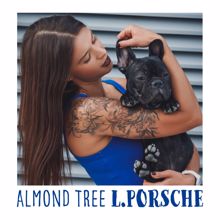 L.porsche: Almond Tree