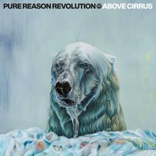 Pure Reason Revolution: Cruel Deliverance