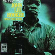 John Lee Hooker: I Want To Talk About You (Album Version) (I Want To Talk About You)