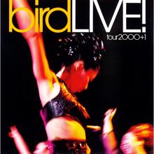 Bird: LIVE! tour 2000+1