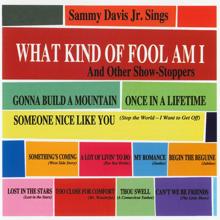 Sammy Davis Jr.: What Kind Of Fool Am I & Other Show Stoppers