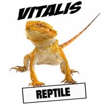 Vitalis: Reptile