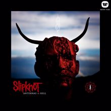 Slipknot: Before I Forget