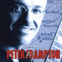 Peter Frampton: Live In Detroit