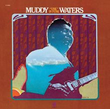 Muddy Waters: Electric Man