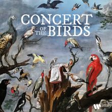 Yvonne Loriod: Messiaen: Petites esquisses d'oiseaux: No. 1, Le rouge-gorge