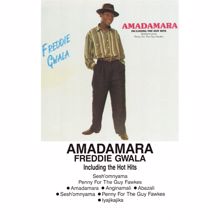 Freddie Gwala: Anginamali