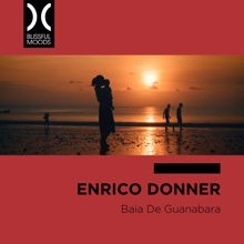 Enrico Donner: Baia de Guanabara
