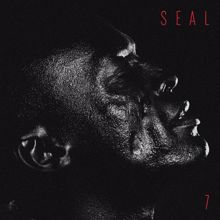 Seal: Do You Ever