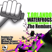 T.Orlando: Water Frogs Feat Matthew K - The Remixes