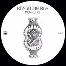 Kangding Ray: Monad XI