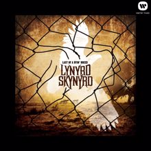 Lynyrd Skynyrd: Mississippi Blood