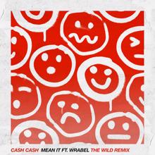 Cash Cash: Mean It (feat. Wrabel) (The Wild Remix)