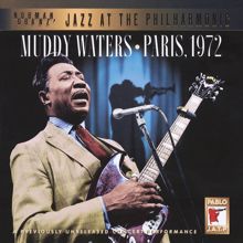Muddy Waters: Hoochie Coochie Man (Live In Paris, FR / 1972)