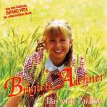 Brigitte Aichner: Das letzte Paradies