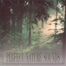 Nature Sounds: Perfect Nature Sounds