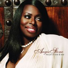Angie Stone: These Are The Reasons (Album Version)