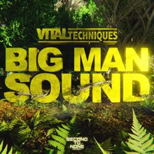 Vital Techniques: Big Man Sound