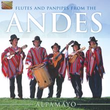 Alpamayo: Flutes and Panpipes From the Andes