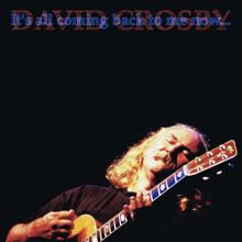 David Crosby: It's All Coming Back to Me Now (Live)