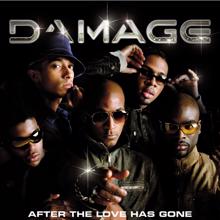 Damage: After the Love Has Gone (Radio Mix)
