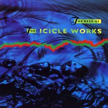 The Icicle Works: Assumed Sundown