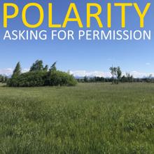 Polarity: Asking for Permission