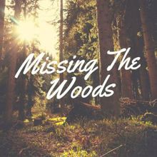 Rain Sounds: Missing the Woods