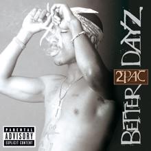 2Pac: When We Ride On Our Enemies (Briss Remix)