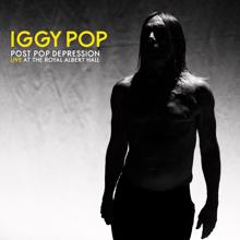 Iggy Pop: Post Pop Depression: Live At The Royal Albert Hall
