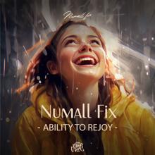 Numall Fix: Ability to Rejoy