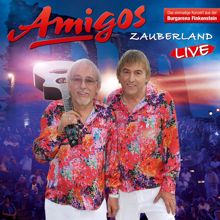 Amigos: Zauberland (Live 2017)