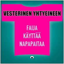 Vesterinen Yhtyeineen: Faija Käyttää Napapaitaa