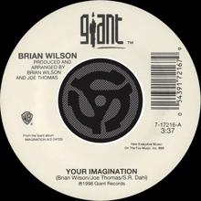 Brian Wilson: Your Imagination / Your Imagination (A Cappella) (45 Version)