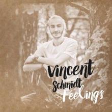 Vincent Schmidt: Over the Falling Stars