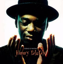Jimmy Dludlu: Essence of Rhythm