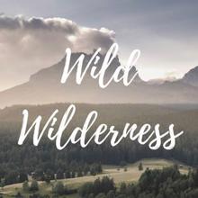 Rain Sounds: Wild Wilderness