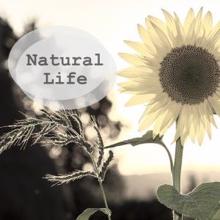 Nature Sounds: Natural Life