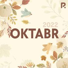 Various Artists: TOP oktabr RizaNova