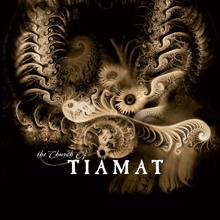 Tiamat: I Am in Love with Myself (live in Kraków 2005)