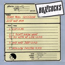 Buzzcocks: I Don't Know What To Do With My Life (John Peel Show 21st May 1979)