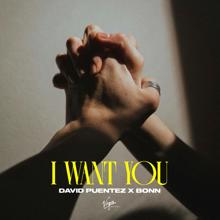 David Puentez: I Want You