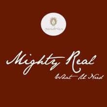 Mighty Real: What U Need
