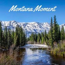 Rain Sounds: Montana Moment