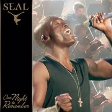 Seal: Don't Let It Bring You Down (Live)