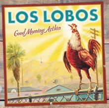 Los Lobos: Round & Round